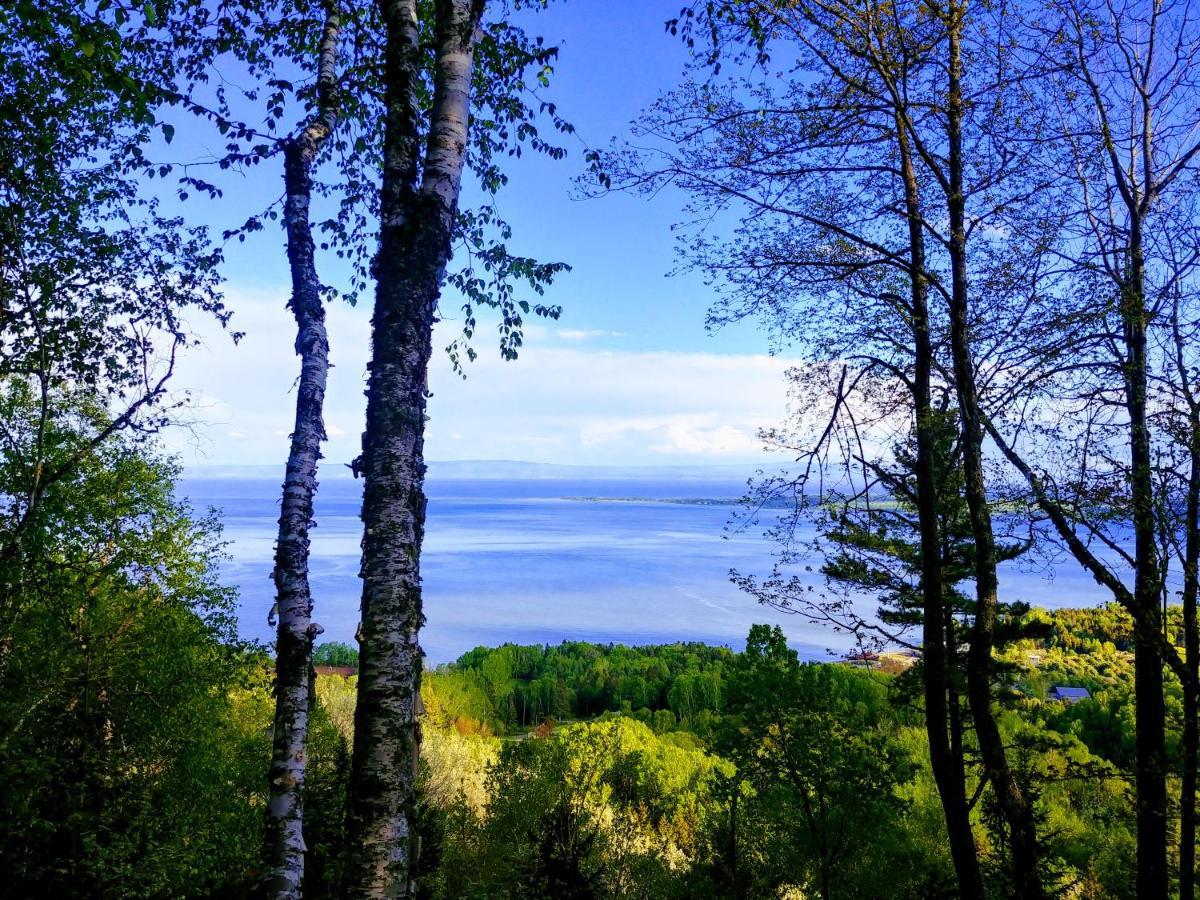 Auberge De La Rive De Charlevoix - Auberge De Jeunesse Familiale Pour Voyageurs De Tous Ages Saint-Joseph-de-la-Rive Kültér fotó